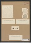 Diatomeae indet. Zeichnungen Sammlung Grunow Nr. 6938 (NHMW-BOT-W0375826)